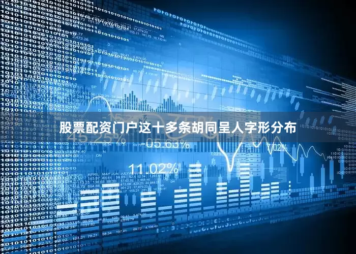 股票配资门户这十多条胡同呈人字形分布