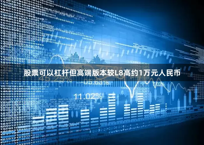 股票可以杠杆但高端版本较L8高约1万元人民币