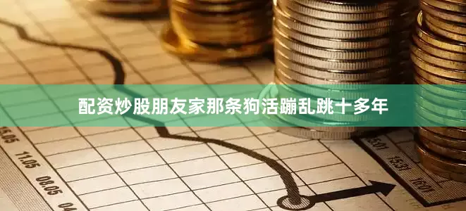配资炒股朋友家那条狗活蹦乱跳十多年